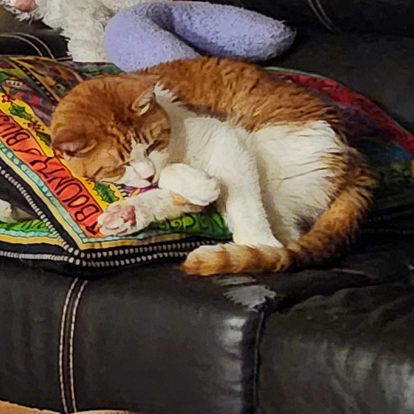 Walter