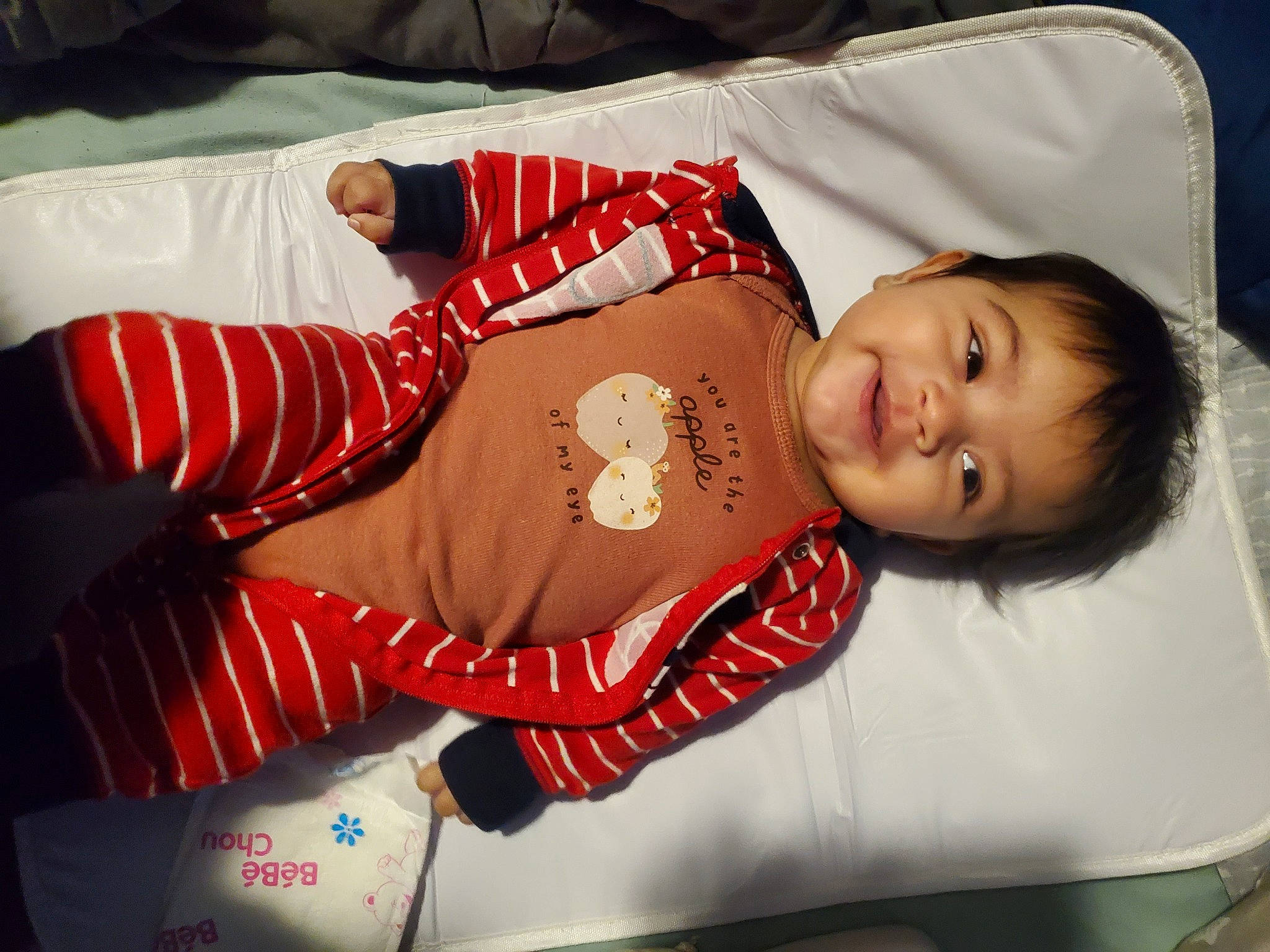 Artemis joined the competition — help win amazing prizes! baby, baby_toddler_clothing, carmine, child, comfort, elbow, event, flesh, fun, happy, lap, pattern, person, room, sitting, sleeve, smile, textile, thigh, toddler