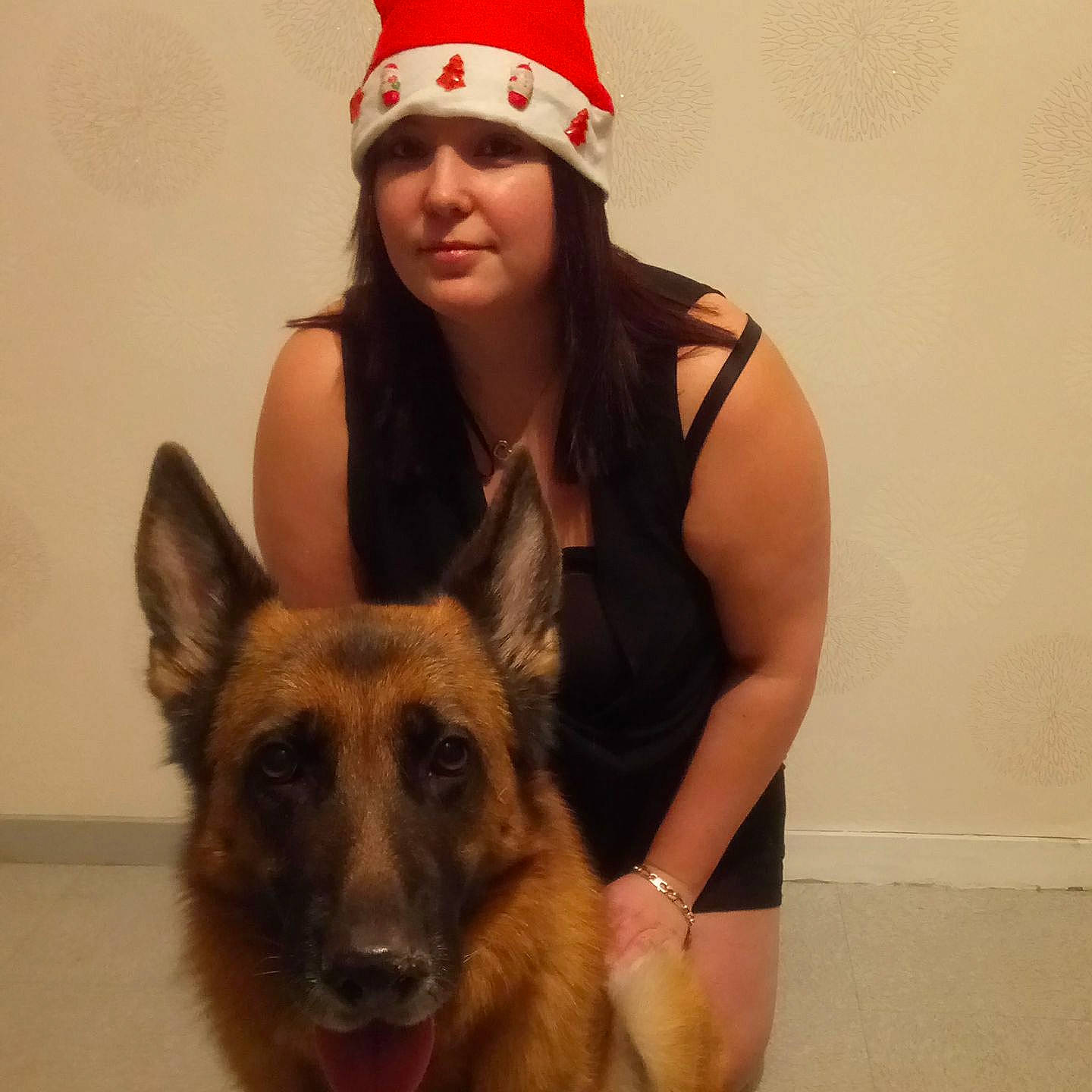 Lumière a rejoint le concours — aidez-le/la à gagner de superbes lots ! dog, dog_breed, dog_breed_group, dog_like_mammal, ear, fur, german_shepherd_dog, headwear, kunming_wolfdog, person, snout