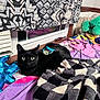 Benson is registered to the contest to win money with this photo: black_cat, cat, bed, blanket, plush_toy, window, curtains, glasses, colorful, patterned, indoor, cozy, toy, resting, fur, pet, animal, sleeping_area, fabric, soft