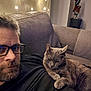 beard, casual, cat, comfort, companion, couch, cozy, evening, fairy_lights, furniture, glasses, gray_cat, home, indoor, man, pet, portrait, relaxing, resting, warm_lighting