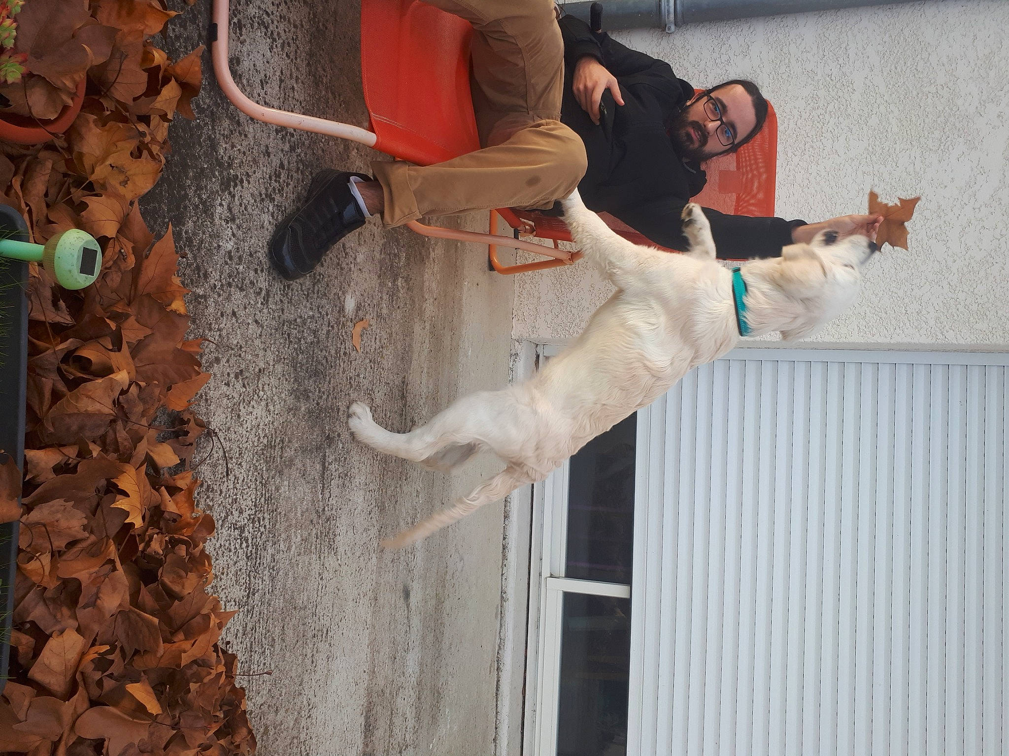 Rooky participe au concours pour gagner de l'argent avec cette photo : adventure, canidae, concrete, fun, fur, human_leg, recreation, soil, sporting_group, street_fashion, tail, thigh, tree, window, wood