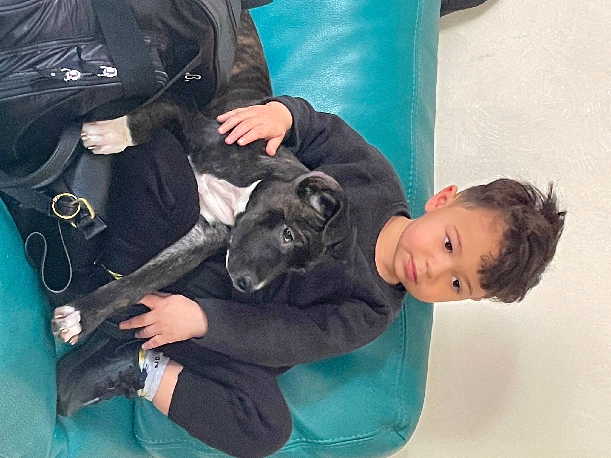 Ayden participe au concours pour gagner de l'argent avec cette photo : baby_products, black_hair, companion_dog, dog_breed, electric_blue, fashion_accessory, fun, fur, gesture, guard_dog, joint, leisure, person, personal_protective_equipment, recreation, sitting, sleeve, toddler
