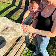Evelyn joined the competition — help win amazing prizes! adult, animal, baby, bench, child, curious, family, farm, grass, holding, outdoor, parent, park, petting, pig, portrait, safely, smiling, sunlight, tattoo
