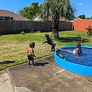 Cleopatra is registered to the contest to win money with this photo: toddler, dog, pool, water, sprinkler, grass, backyard, sunny_day, child, playing, pavement, tree, fence, blue_sky, summer, outdoor, swimming, fun, water_spray, leisure