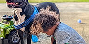 Cleopatra is registered to the contest to win money with this photo: dog, child, toy_car, outdoor, curly_hair, blue_harness, concrete, doormat, playtime, fence, house, sunlight, barefoot, black_dog, white_paws, grass, plastic_toy, curious, pet, backyard