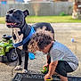 dog, child, toy_car, outdoor, curly_hair, blue_harness, concrete, doormat, playtime, fence, house, sunlight, barefoot, black_dog, white_paws, grass, plastic_toy, curious, pet, backyard