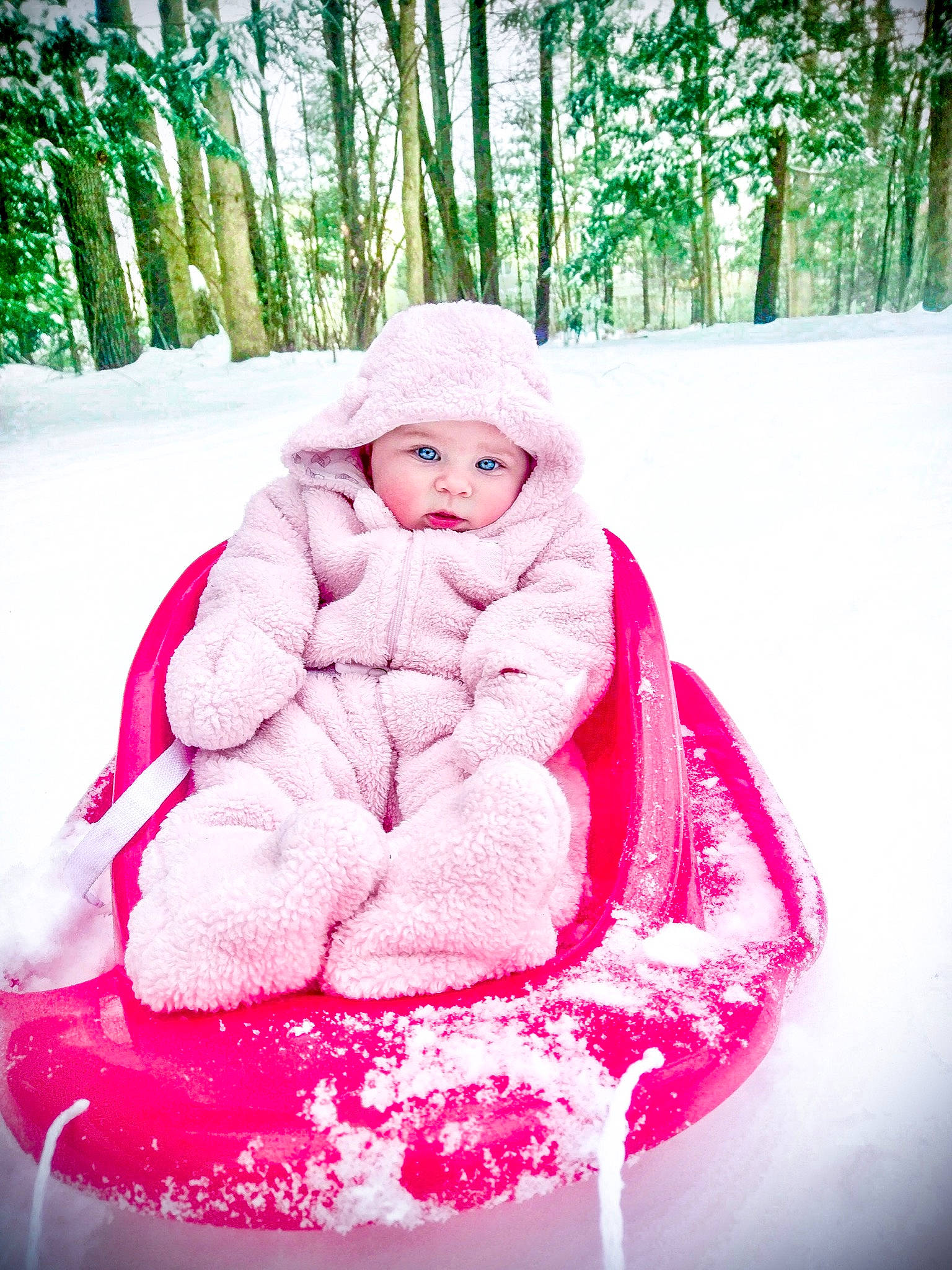 Lucie is registered to the contest to win money with this photo: child, freezing, fun, headwear, leisure, magenta, outerwear, person, photography, pink, plant, playing_in_the_snow, recreation, red, sitting, skin, smile, snow, toddler, vacation