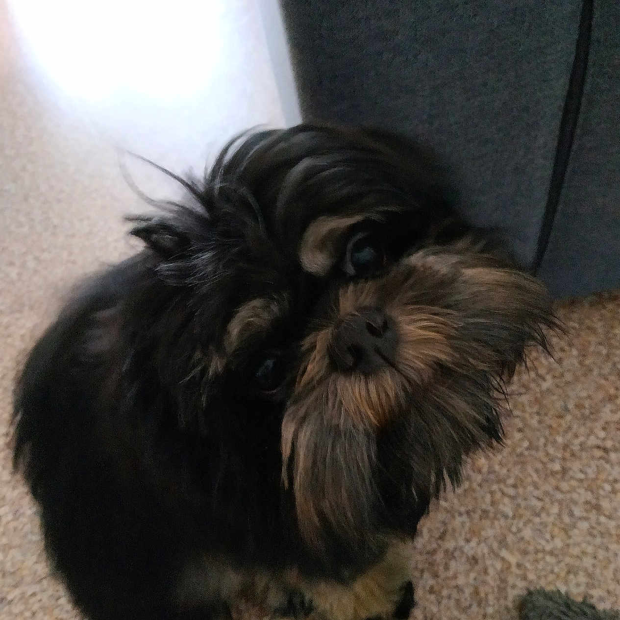 Stan