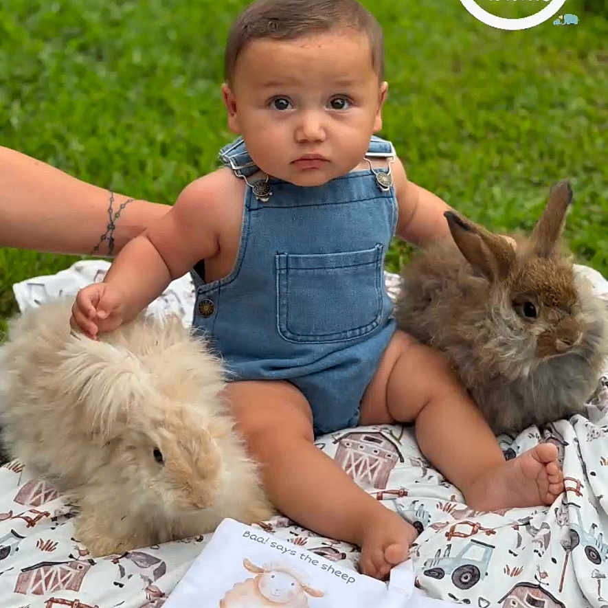 Diago is registered to the contest to win money with this photo: 6_months, animal, baby, blanket, book, bunny, child, cute, denim_overalls, farm_animals, fluffy, grass, milestone, nature, outdoor, pattern, portrait, rabbit, sitting, young_child