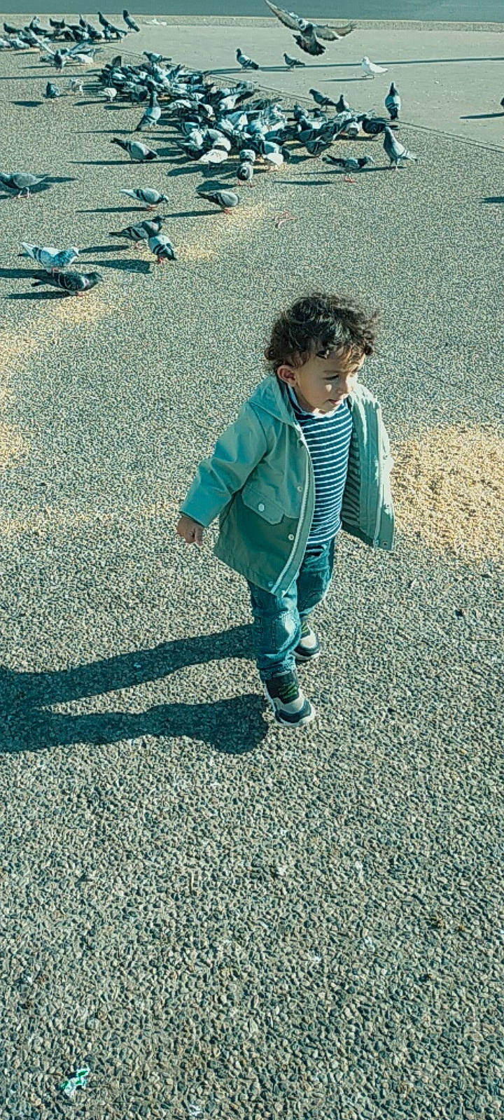 Adam a rejoint le concours — aidez-le/la à gagner de superbes lots ! asphalt, child, electric_blue, fun, grass, landscape, leisure, people_in_nature, person, play, recreation, road, road_surface, sand, shadow, sidewalk, sitting, soil, tints_and_shades, toddler