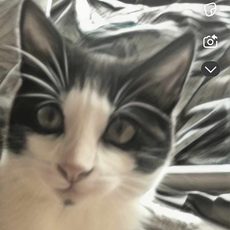 Mieszko