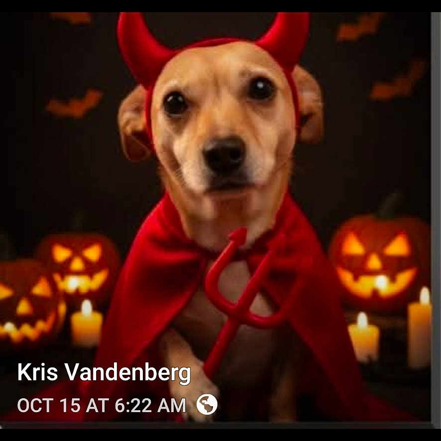 Fannie Mae is registered to the contest to win money with this photo: animal, candle, cape, costume, cute, dark_background, devil, dog, face, festive, halloween, holiday, horns, indoors, jack_o_lantern, pet, portrait, pumpkin, red, spooky