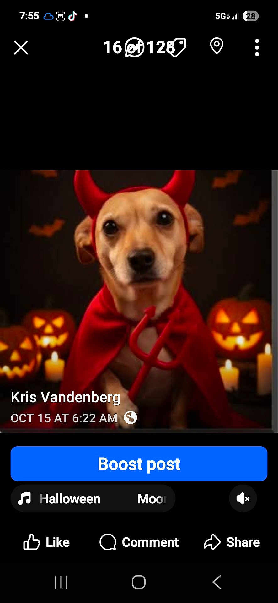 Fannie Mae is registered to the contest to win money with this photo: dog, costume, devil, halloween, pumpkin, jack_o_lantern, candle, cape, horns, red, spooky, holiday, pet, animal, portrait, indoors, dark_background, cute, festive, face