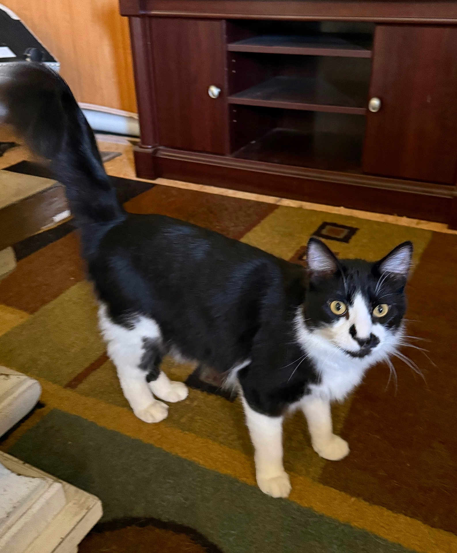 Oreo