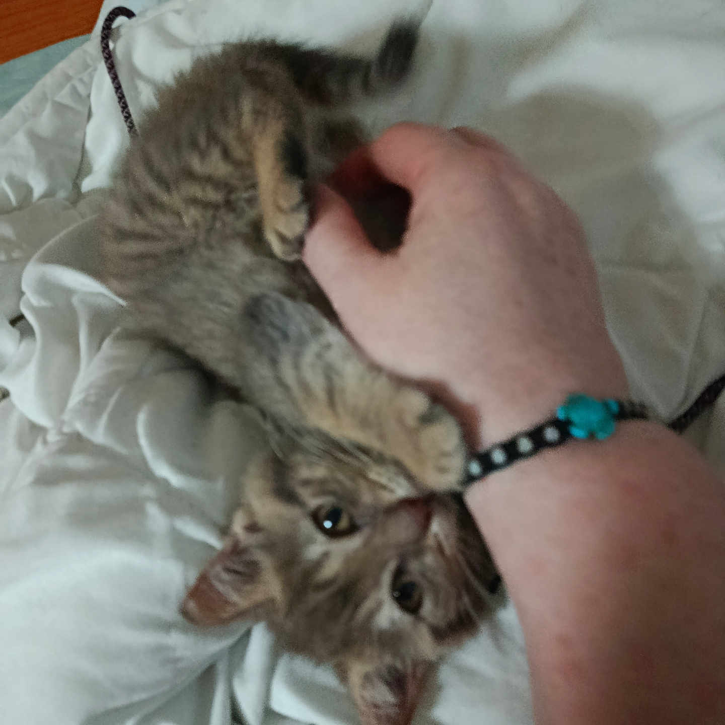 Praline