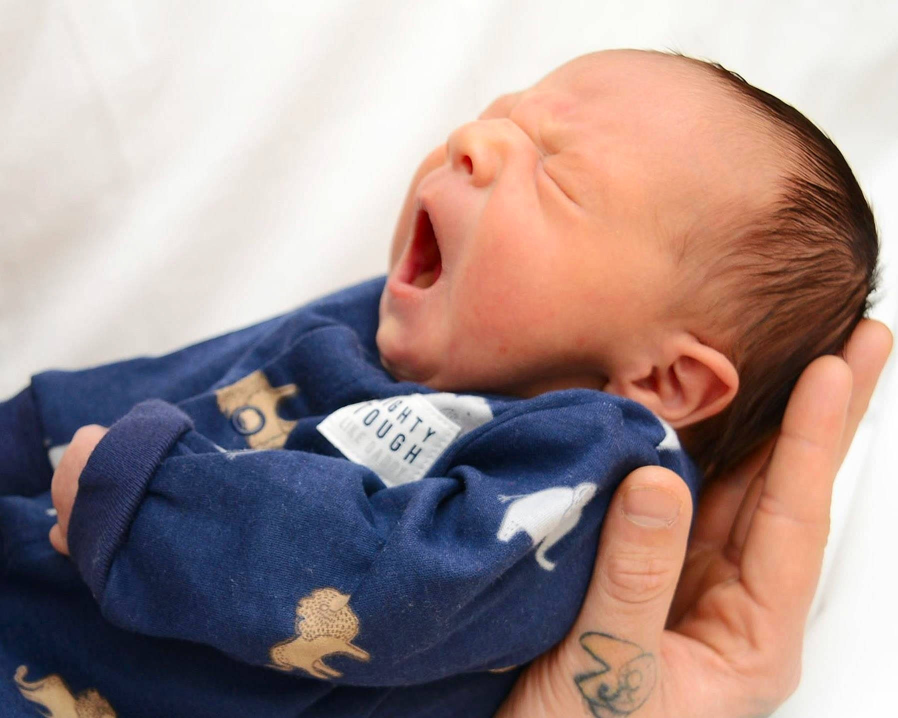 Leonard joined the competition — help win amazing prizes! baby, baby_sleeping, birth, cheek, child, ear, facial_expression, head, headwear, mouth, nap, neck, nose, person, sleep, toddler, yawn