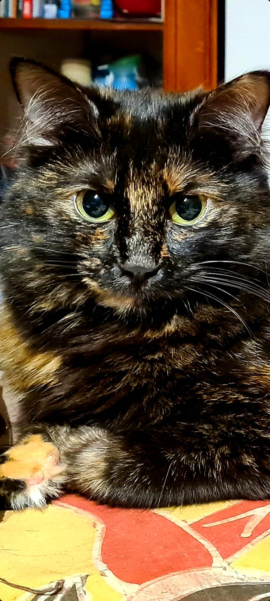Tiki