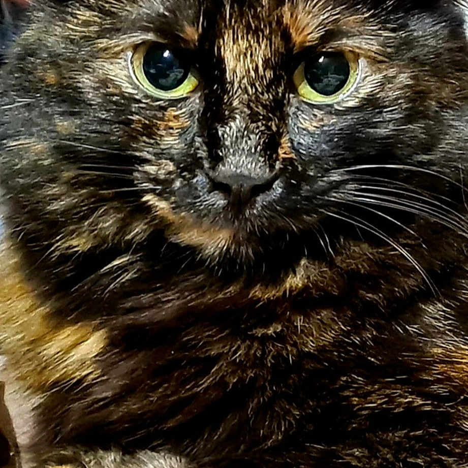 Tiki