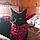 Cachou