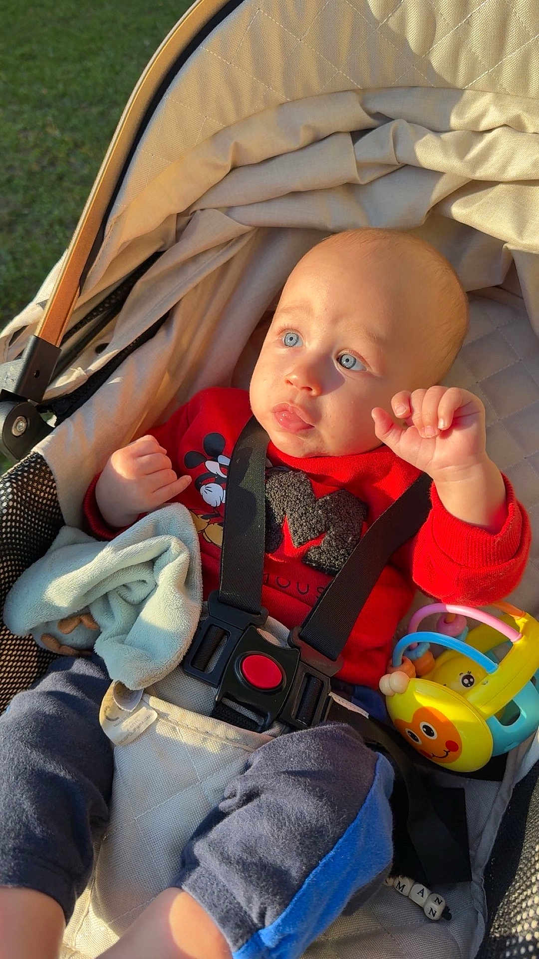 Kaylan a rejoint le concours — aidez-le/la à gagner de superbes lots ! baby, child, stroller, red_sweater, mickey_mouse, blue_eyes, blanket, toy, sunlight, outdoor, safety_harness, cute, infant, casual_clothing, happy, playful, closeup, portrait, seat, comfort