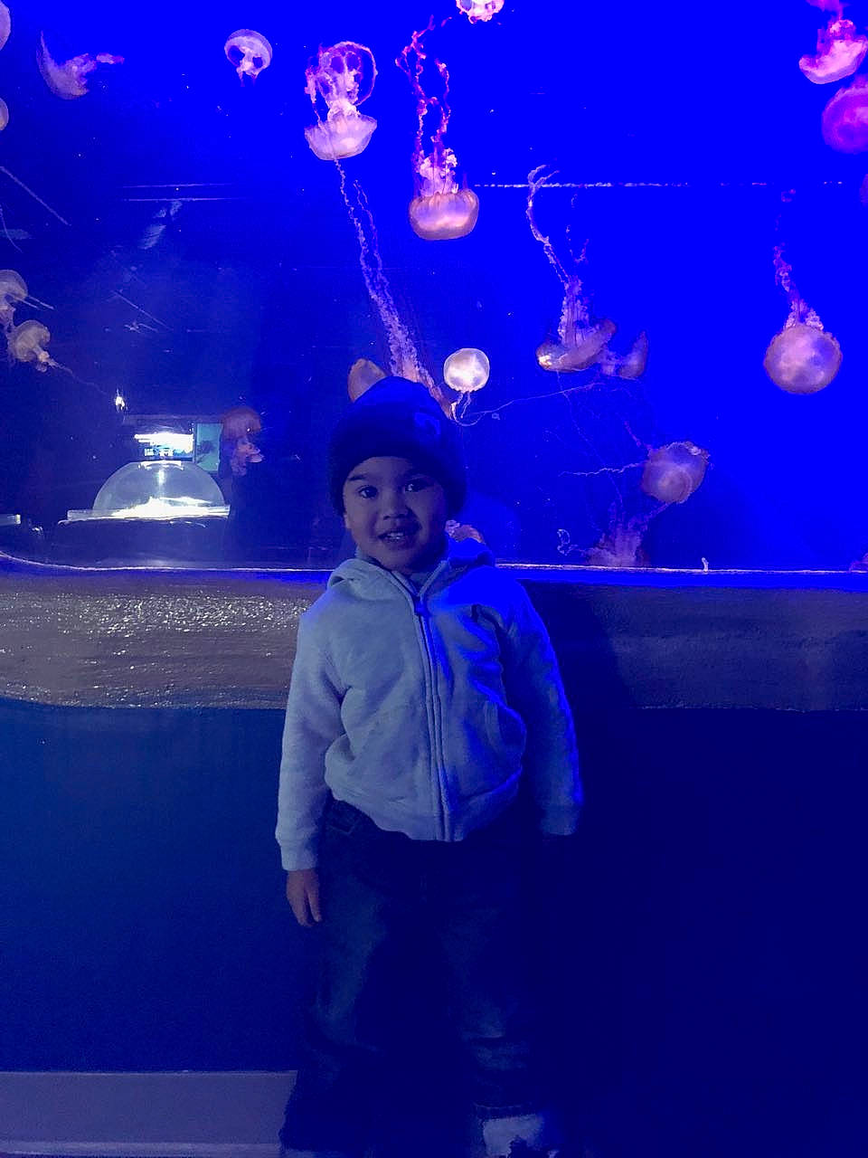 Kyedan joined the competition — help win amazing prizes! blue, darkness, event, fun, joy, light, midnight, night, performance, person, sky, space