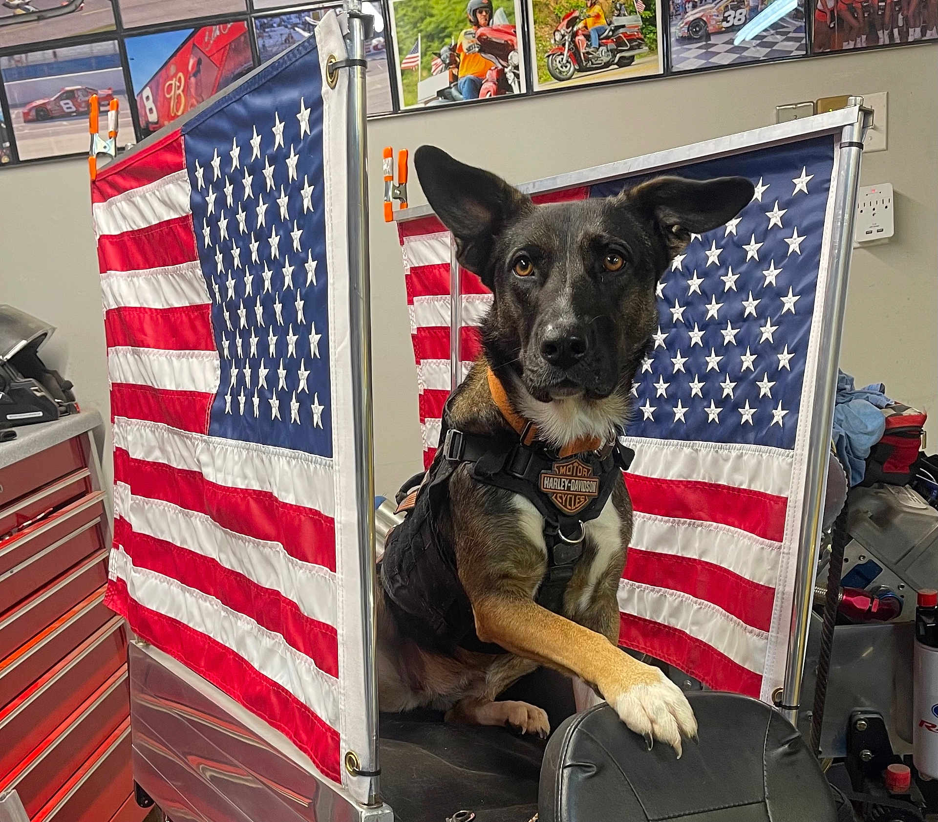 Ellie Mae