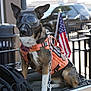 Ellie Mae joined the competition — help win amazing prizes! dog, goggles, vest, biker_dog, chain, motorcycle_seat, american_flag, outdoor, pet, animal, leash, black, tan, white, fence, vehicle, urban, sidewalk, daytime, accessory