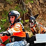 person, dog, motorcycle, helmet, goggles, orange_jacket, leather_gloves, harley_davidson, outdoor, american_flag, pet, animal, canine, transportation, adventure, sidecar, tree, sunlight, road_trip, travel