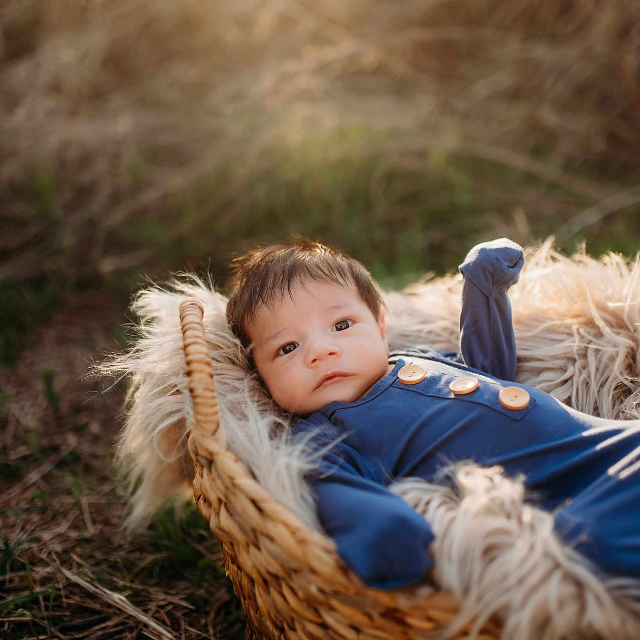 Jalen is registered to the contest to win money with this photo: animal, baby, basket, canine, clothing, coat, dog, face, furniture, grass, head, jacket, outdoors, pants, person, pet, photography, plant, portrait, sleeping