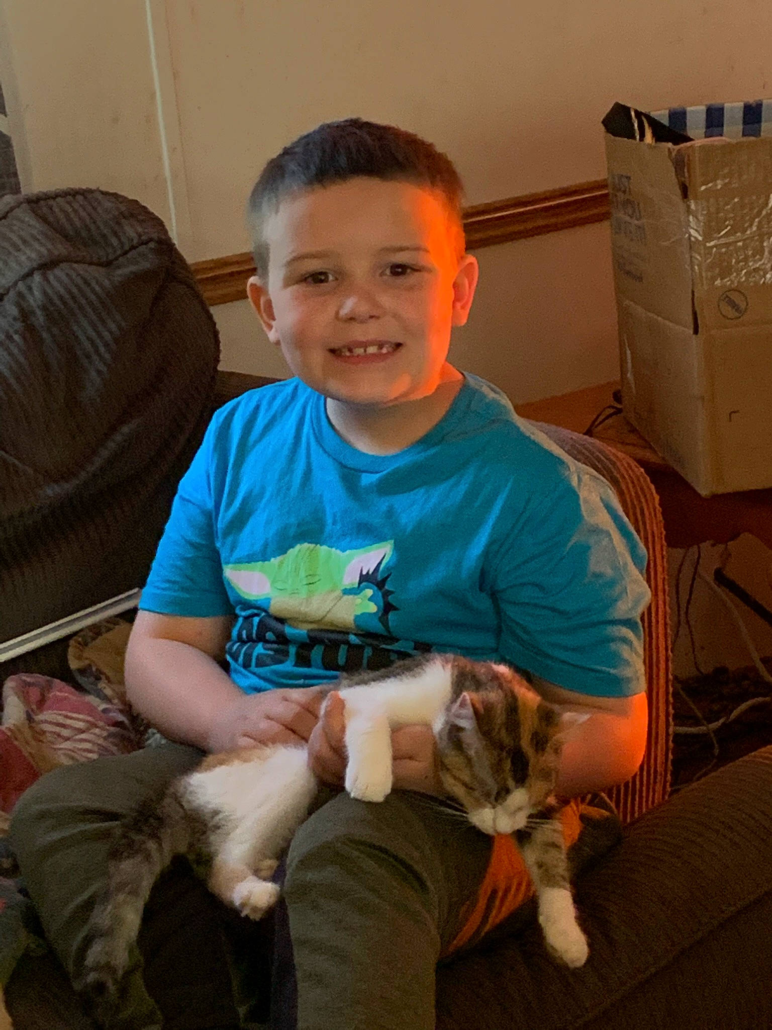 Bradlee is registered to the contest to win money with this photo: carton, cat, child, comfort, companion_dog, domestic_short_haired_cat, event, fawn, felidae, fur, happy, holiday, joy, lap, person, shipping_box, sitting, small_to_medium_sized_cats, smile, t_shirt