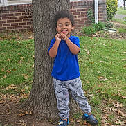Ezra is registered to the contest to win money with this photo: child, smiling, tree, grass, blue_shirt, dinosaur_pants, shoes, yard, outdoor, happy, playful, nature, leaves, casual_clothing, curly_hair, standing, daytime, house, brick_wall, window