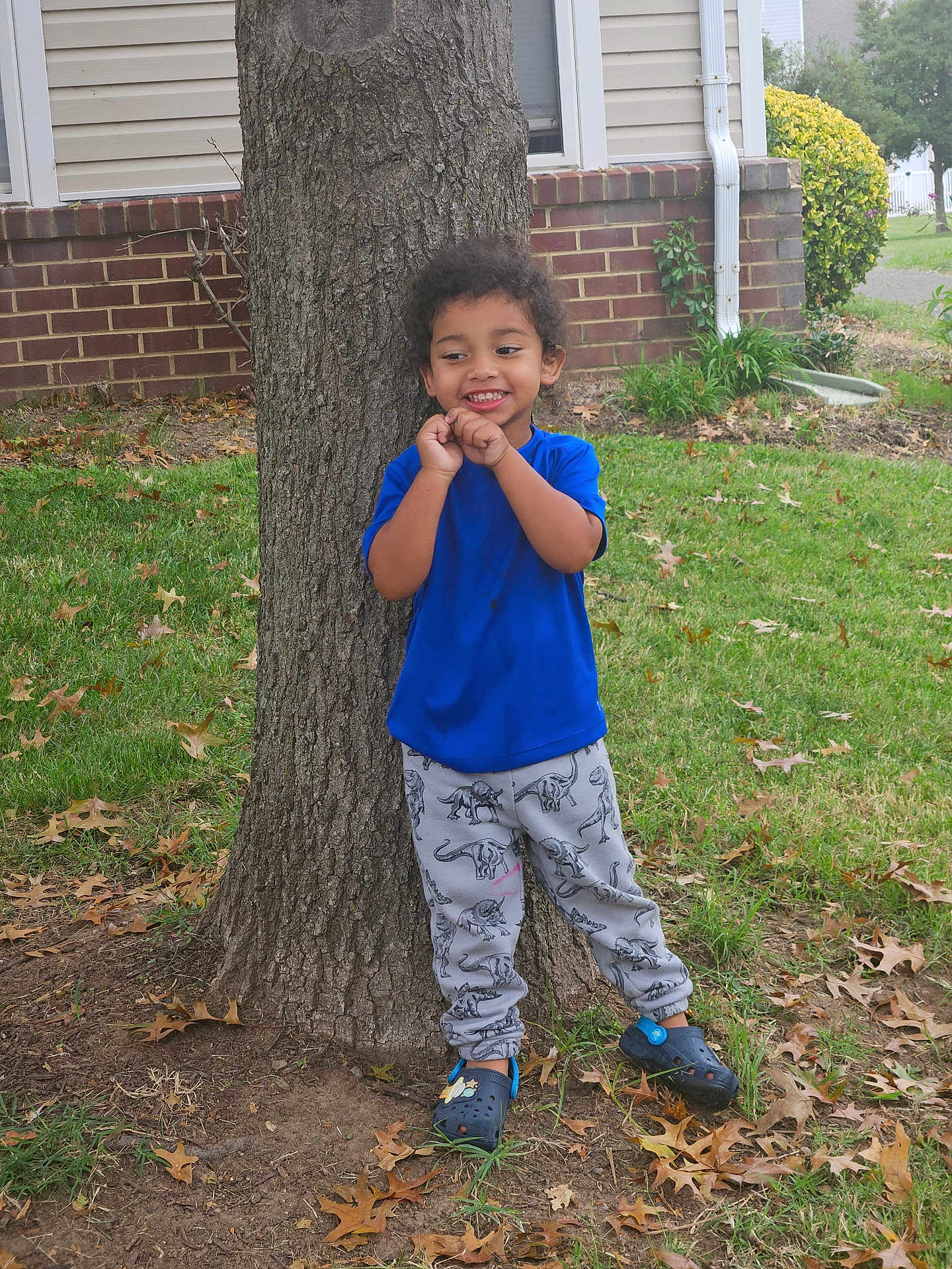 Ezra is registered to the contest to win money with this photo: child, smiling, tree, grass, blue_shirt, dinosaur_pants, shoes, yard, outdoor, happy, playful, nature, leaves, casual_clothing, curly_hair, standing, daytime, house, brick_wall, window