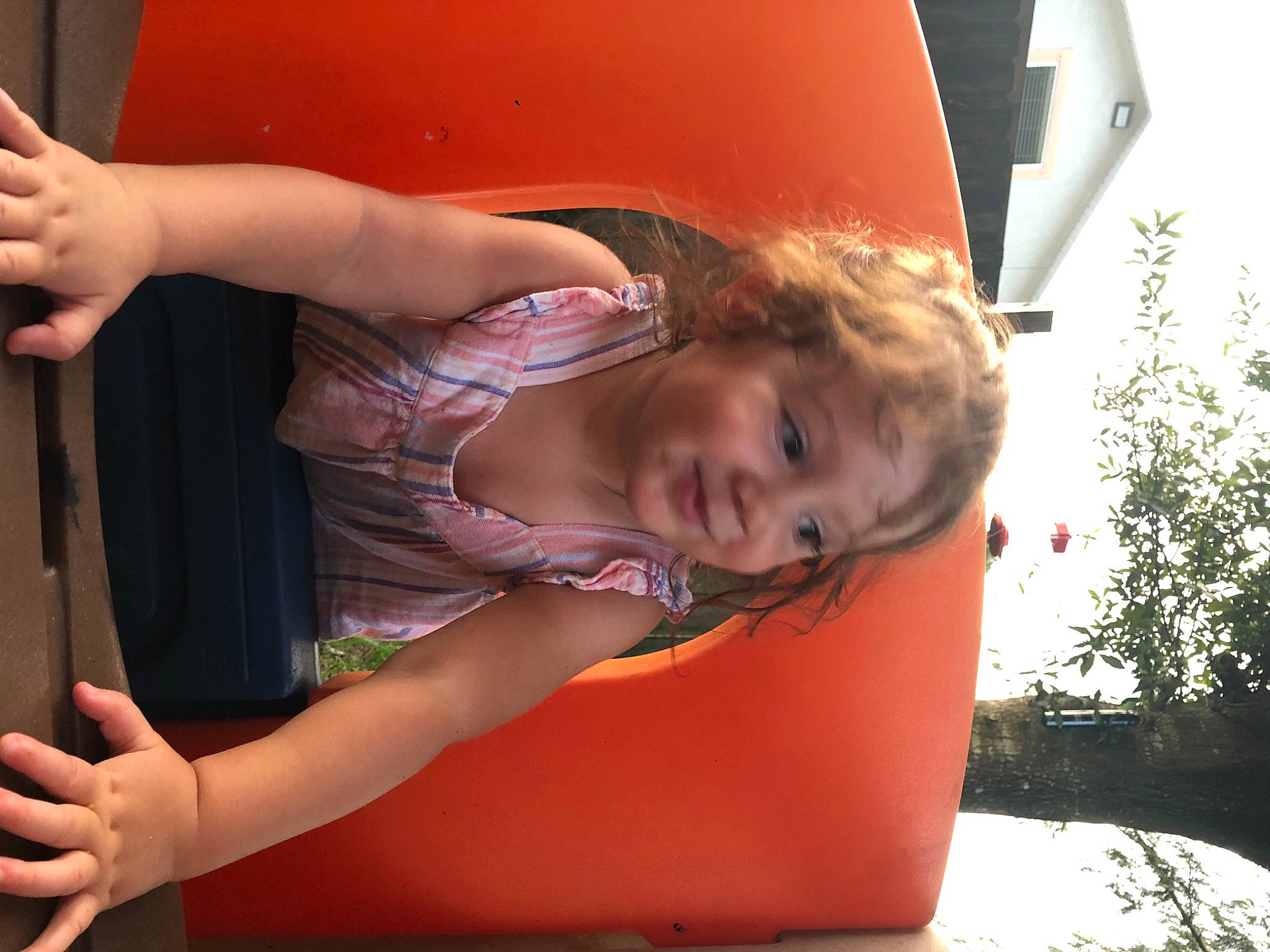 Ellis is registered to the contest to win money with this photo: automotive_design, automotive_exterior, automotive_lighting, blond, bumper, elbow, fun, hand, happy, human_leg, joy, knee, leisure, motor_vehicle, mouth, orange, person, plant, shoulder, thigh