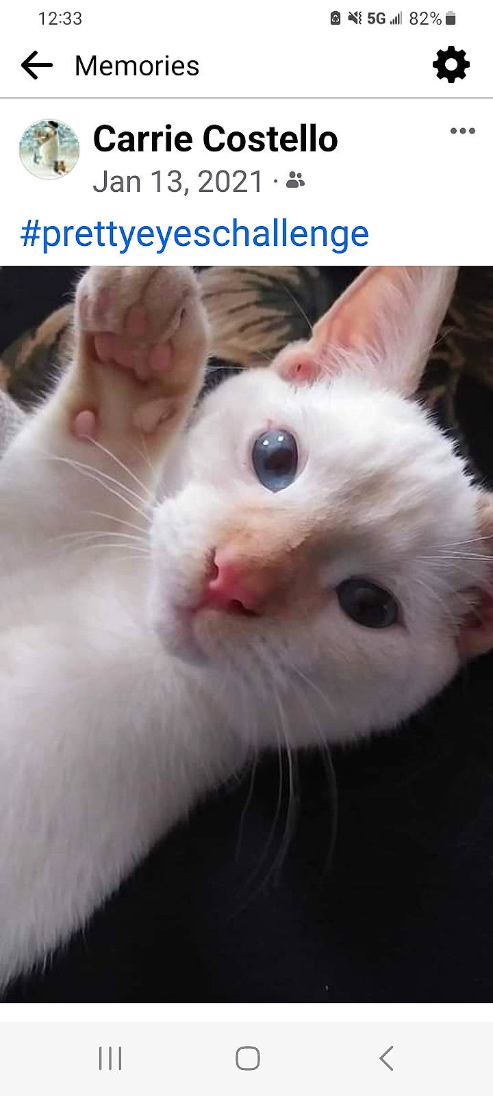 Frankie