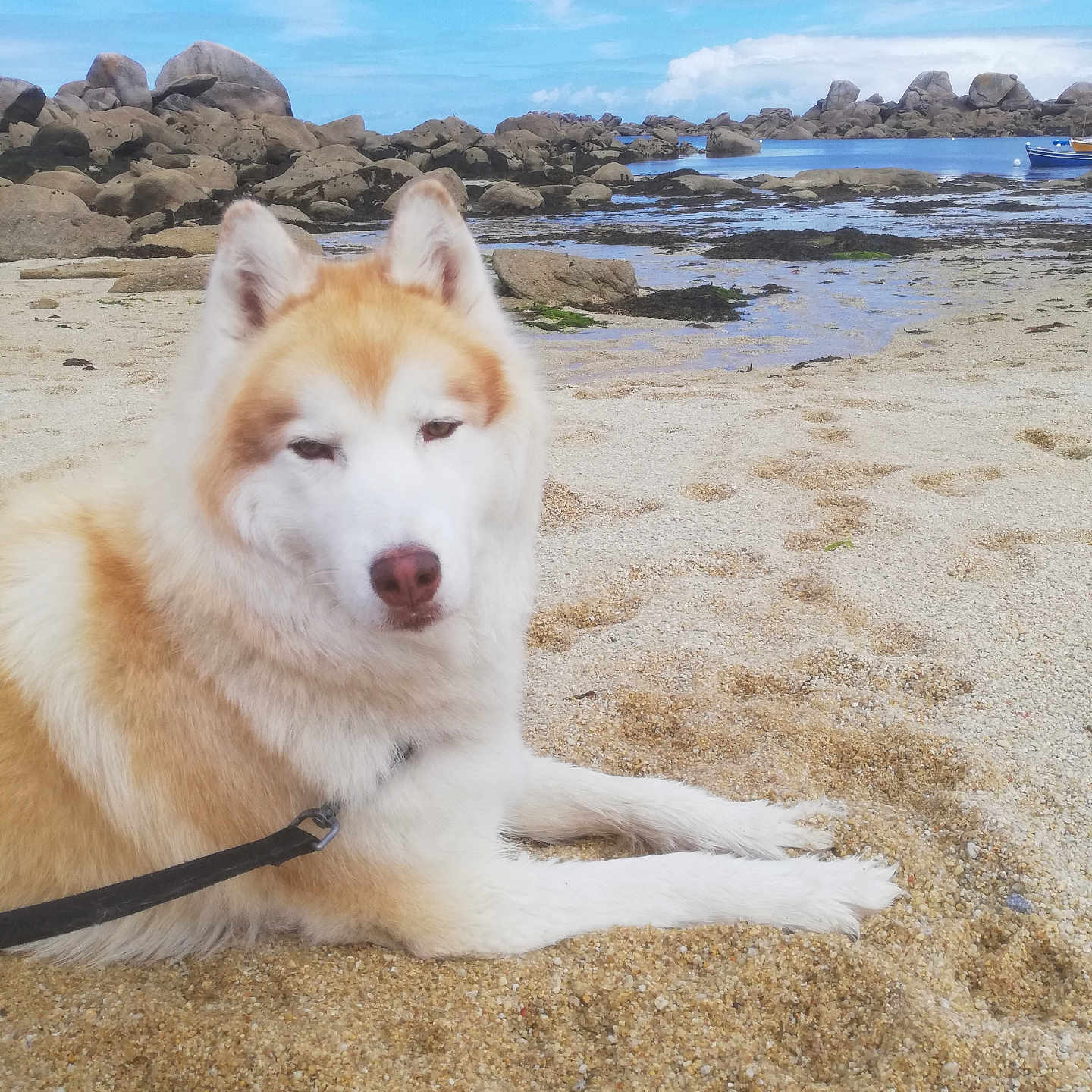 Inuk