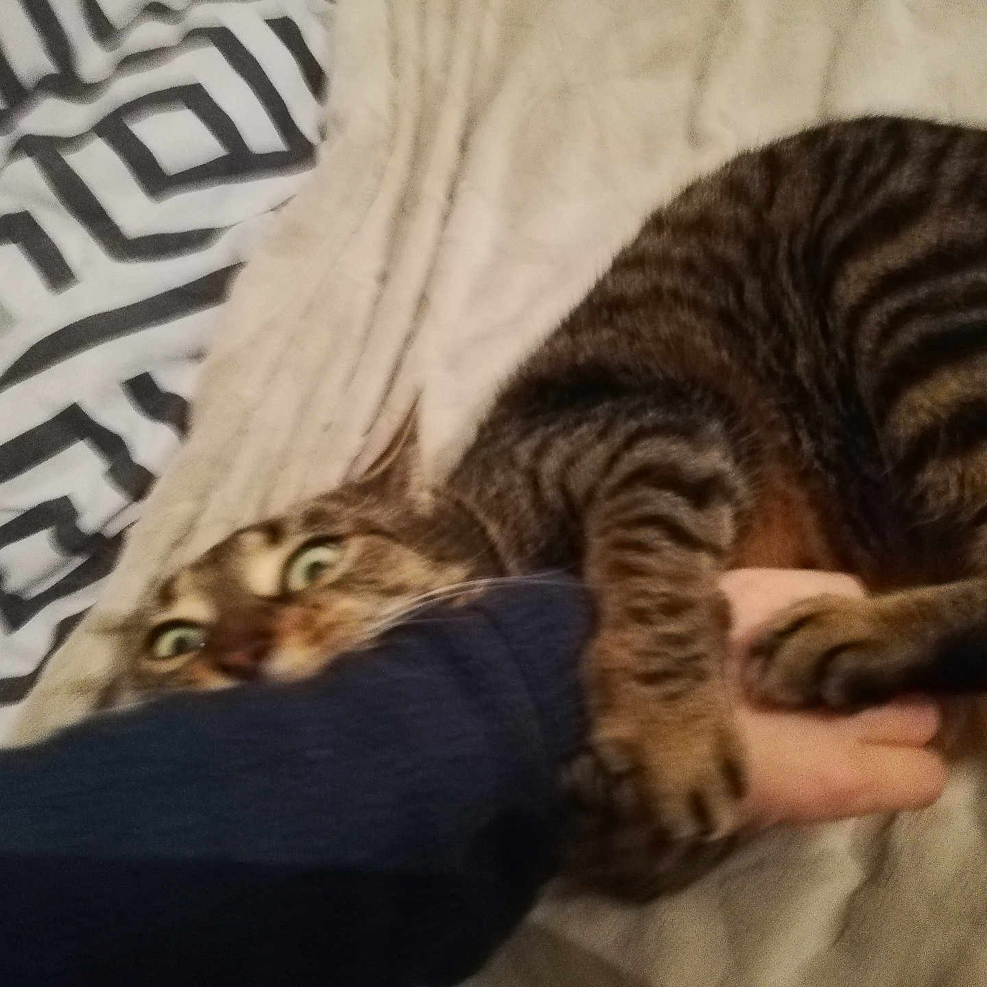 Moumoune