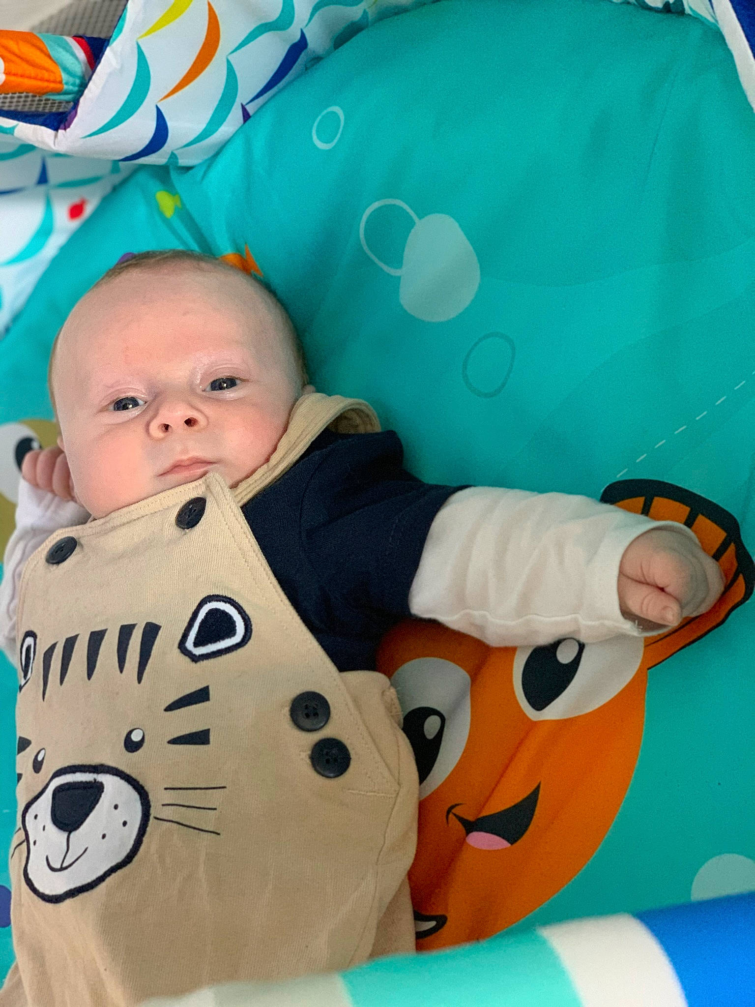 Angélo participe au concours pour gagner de l'argent avec cette photo : baby, baby_products, baby_toddler_clothing, blue, carmine, child, comfort, design, facial_expression, fun, happy, pattern, person, photograph, product, sitting, sleeve, textile, toddler, white