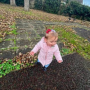 Rayah joined the competition — help win amazing prizes! toddler, child, pink_jacket, pigtails, hair_bows, pacifier, autumn, fallen_leaves, outdoor, park, sidewalk, trees, grass, shoes, curious, playground, bench, overcast_sky, young_child, exploring