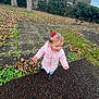 toddler, child, pink_jacket, pigtails, hair_bows, pacifier, autumn, fallen_leaves, outdoor, park, sidewalk, trees, grass, shoes, curious, playground, bench, overcast_sky, young_child, exploring