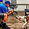 dog, person, man, indoor, office, chair, table, trash_can, floor, wood_floor, blue_shirt, blue_cap, leash, collar, playing, tug_of_war, standing, sitting, pet_training, animal