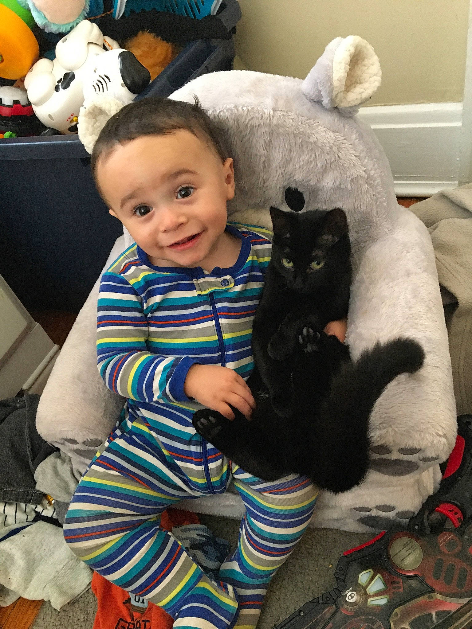 Scotty is registered to the contest to win money with this photo: black_cat, cat, cheek, child, ear, felidae, head, joy, leg, person, play, sitting, skin, small_to_medium_sized_cats, smile, toddler