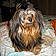 Widget