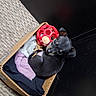 puppy, dog, cardboard_box, blanket, toy, red_ball, indoor, carpet, black_dog, small_dog, cute, pet, animal, young_dog, looking_up, resting, cozy, fur, ears, curious
