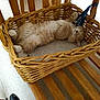 cat, basket, wicker_basket, ginger_cat, sleeping, nap, paws, stretched_out, cozy, ribbon, chair, wooden_slats, floor_tile, indoor, pet, whiskers, relaxed, cushion, scooter_wheel, home_interior