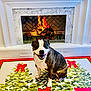dog, fireplace, christmas_tree, mat, indoor, holiday, decor, smiling, pet, white_marble, warmth, festive, red_bow, floor_mat, cozy, animal, sitting, home, background, celebration