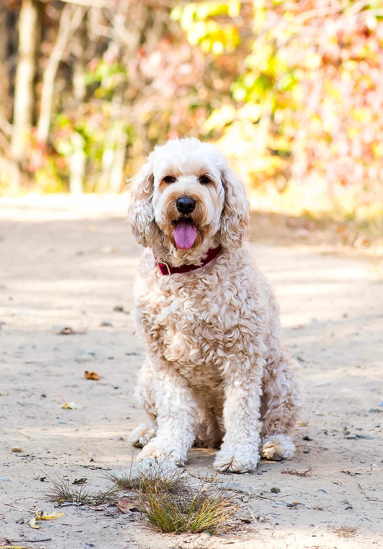 Lila