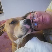 Flash participe au concours pour gagner de l'argent avec cette photo : bed, bedspread, blanket, brown_and_white, closeup, companionship, cozy, cuddle, cuddling, dog, eyewear, face, glasses, human, indoors, person, pet, portrait, short_hair, sleepy