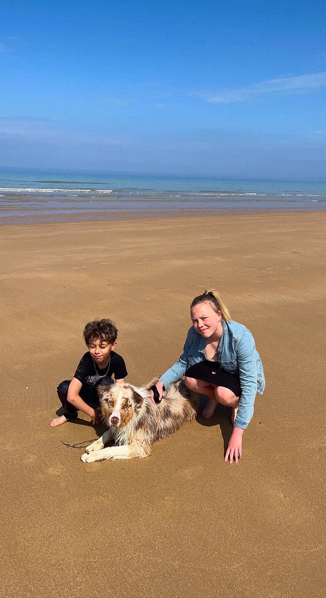 Eloa participe au concours pour gagner de l'argent avec cette photo : beach, body_of_water, carnivore, cloud, companion_dog, dog, dog_breed, fun, happy, horizon, joy, landscape, leisure, natural_environment, people_in_nature, people_on_beach, person, recreation, sky, summer