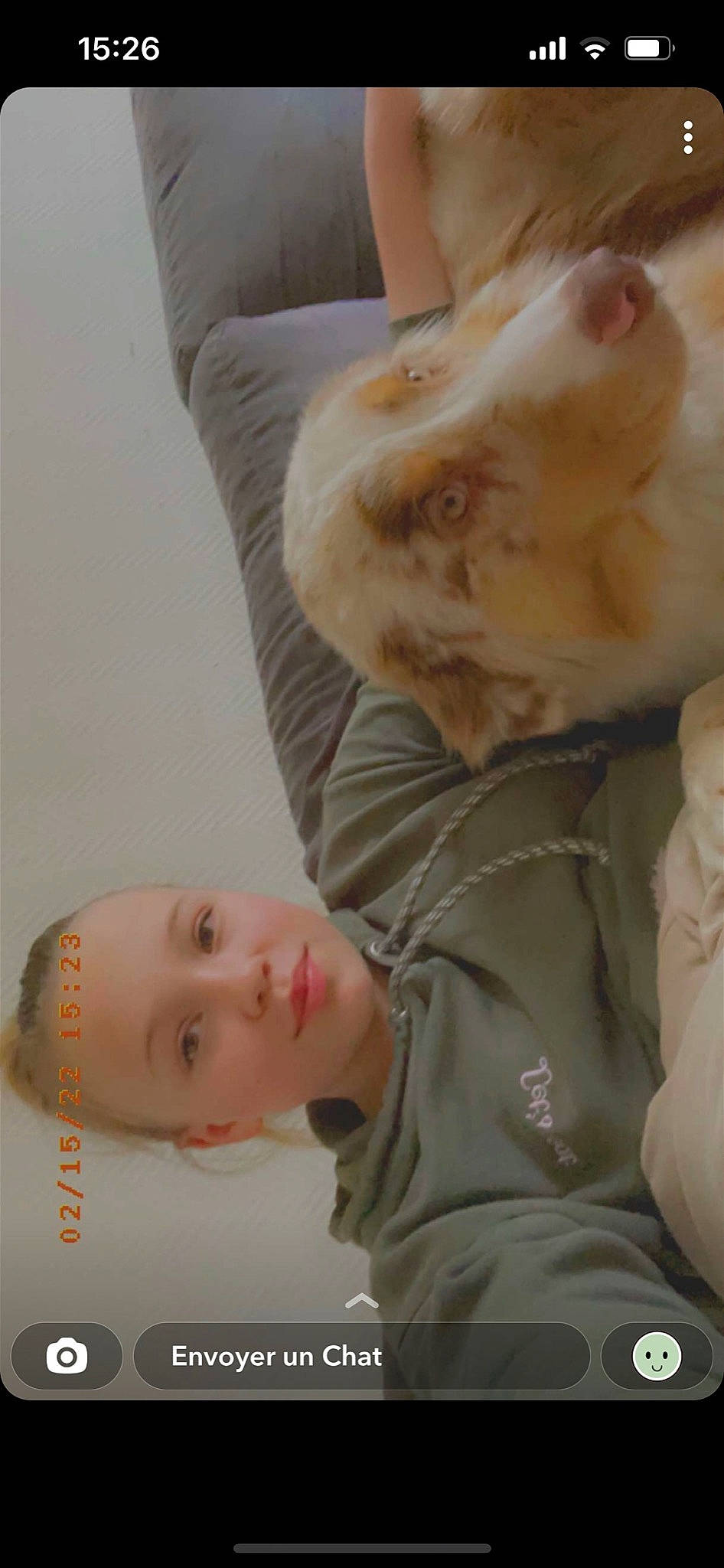 Eloa a rejoint le concours — aidez-le/la à gagner de superbes lots ! carnivore, comfort, companion_dog, ear, eye, eyebrow, eyelash, facial_expression, fawn, felidae, gesture, hair, happy, head, human_body, jaw, mouth, neck, nose, person